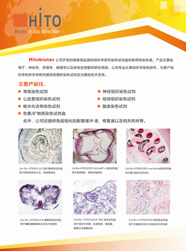 Hitobiotec神經(jīng)組織染色試劑盒