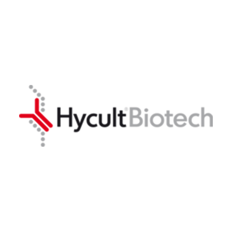 Recombinant Mouse IFN-gamma (CHO-derived)