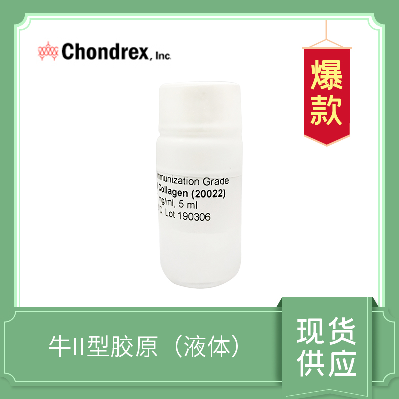 Bovine Type II collagen  牛II型膠原
