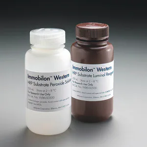 Western Blot 化學(xué)發(fā)光底物