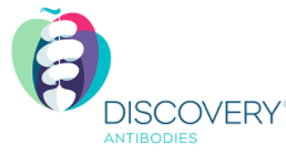 Discovery? Antibodies（CRB）中國代理博蕾德生物-藥物研究抗體領(lǐng)導(dǎo)者