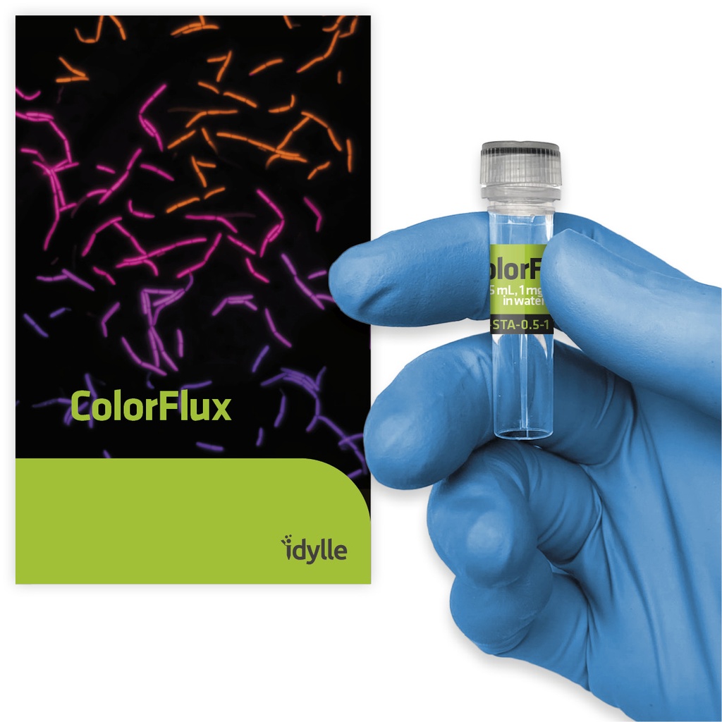 ColorFlux - A visual indicator of bacterial efflux 細菌外排指示劑